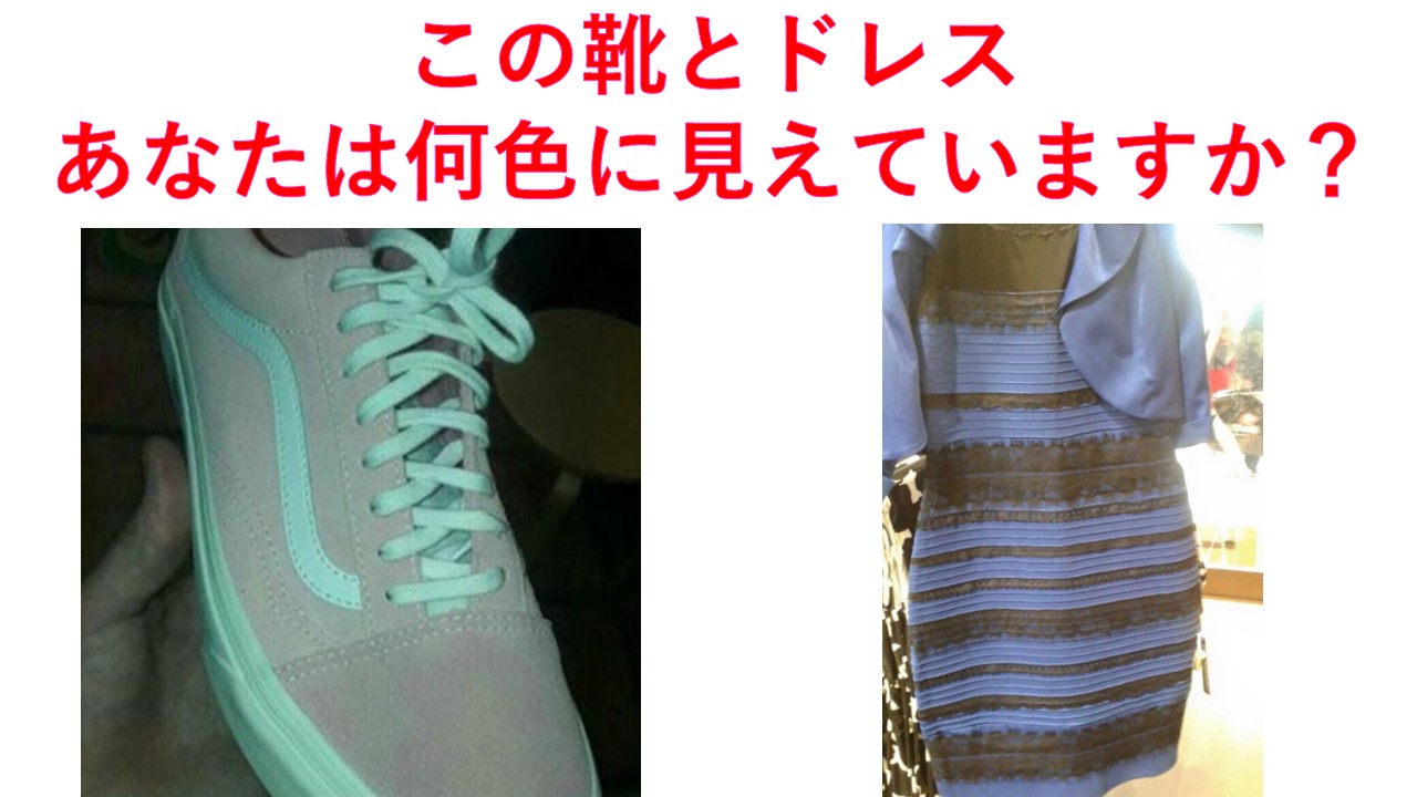 違っ ドレス 見える が て 色 同じ色が違って見える『色の恒常性』